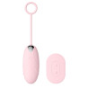 Generique Oeuf Vibrant Sans Fil Pinkless 8 x 3cm